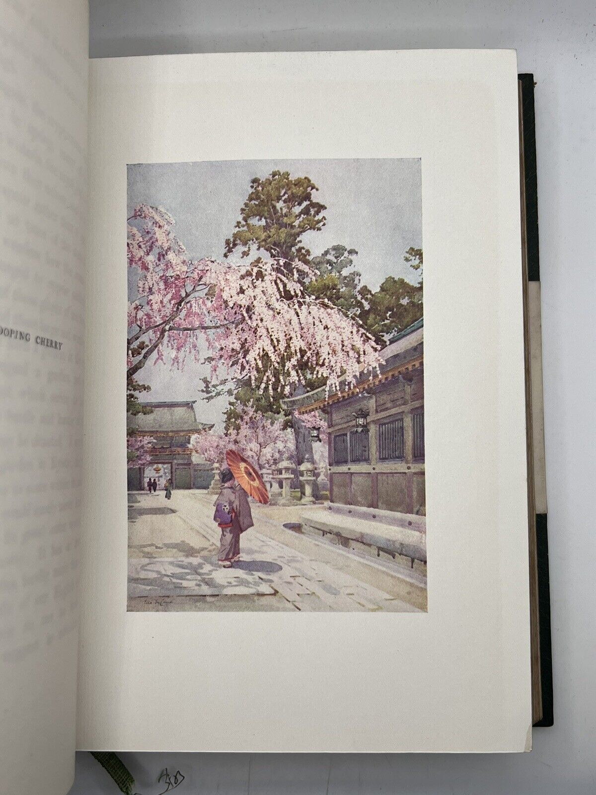 The Flowers and Gardens of Japan 1908