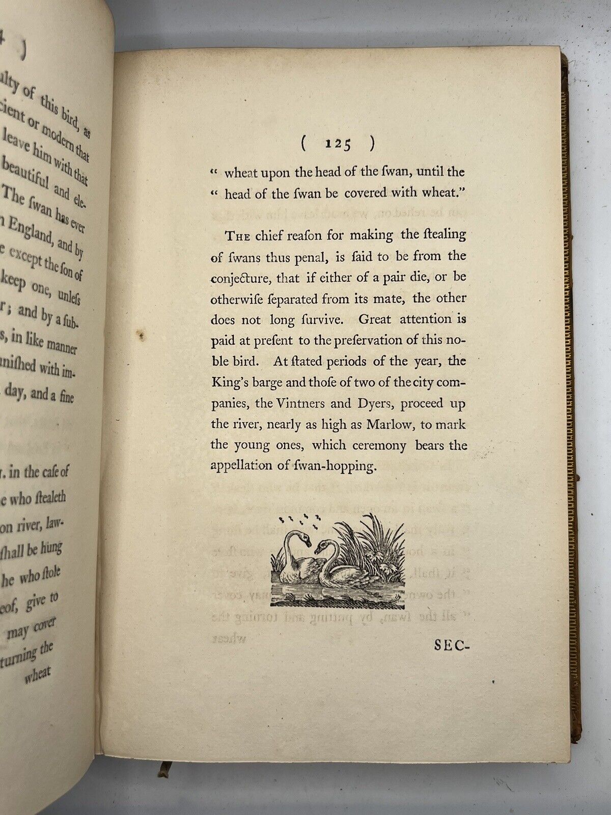 Picturesque Views on the River Thames  by Samuel Ireland 1792 First Edition