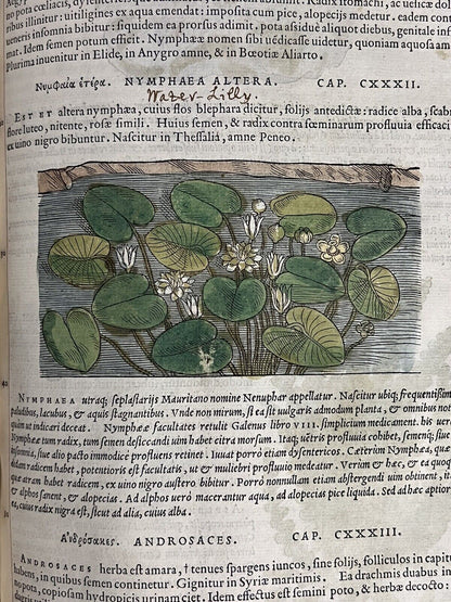 Pietro Andrea Mattioli Herbal 1554 Hand Coloured Woodcuts