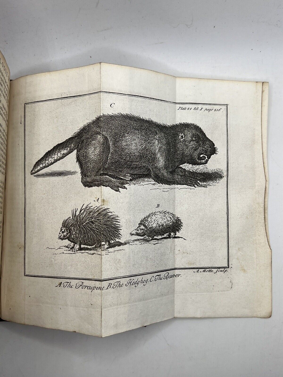 Discourses on Natural History 1739