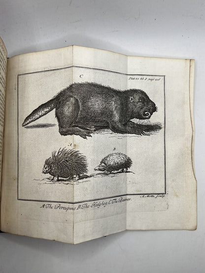 Discourses on Natural History 1739