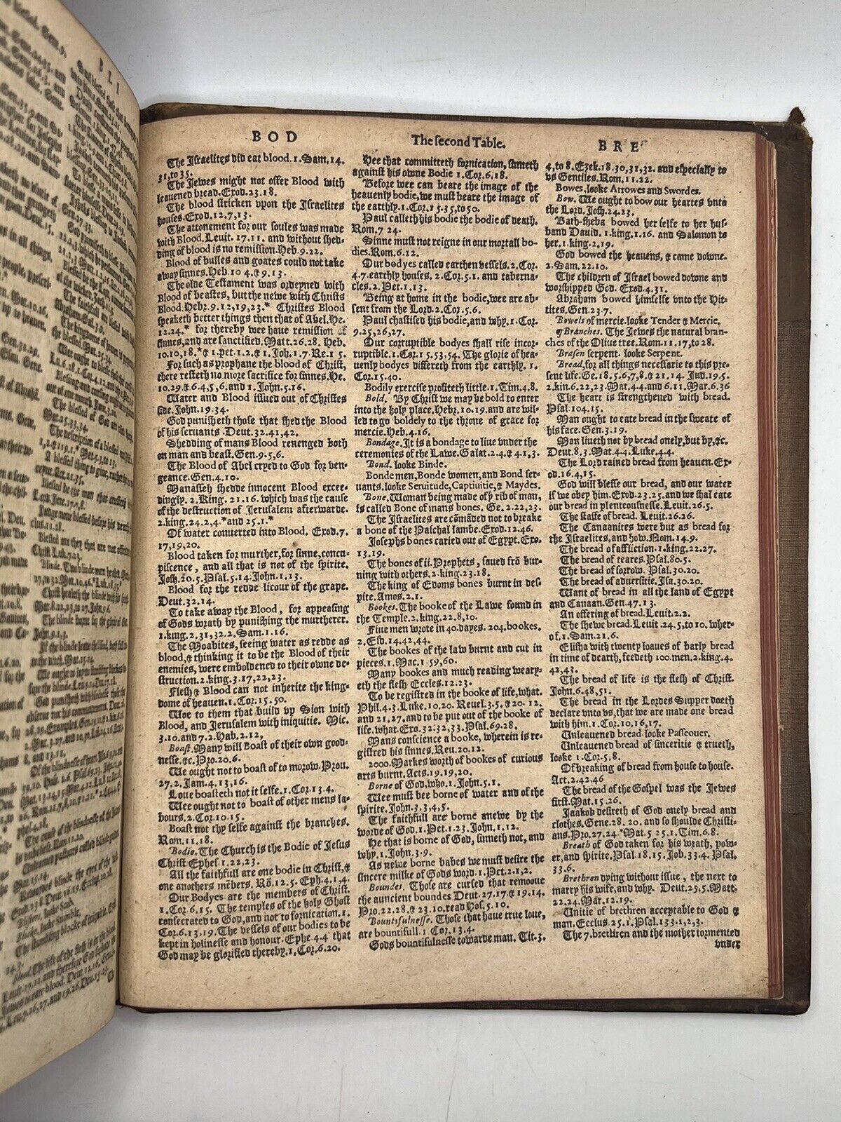 Geneva "Breeches" Bible 1588