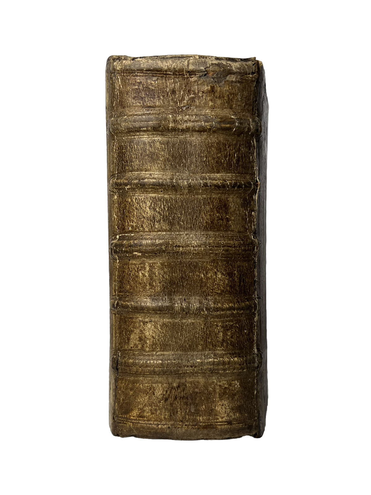 Biblia Sacra 1571 Illustrated Vulgate