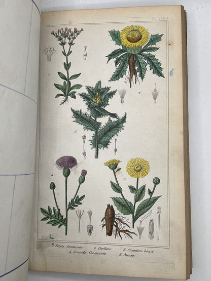 Medical Plants 1872