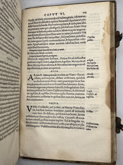 De Partibus Aedium 1541