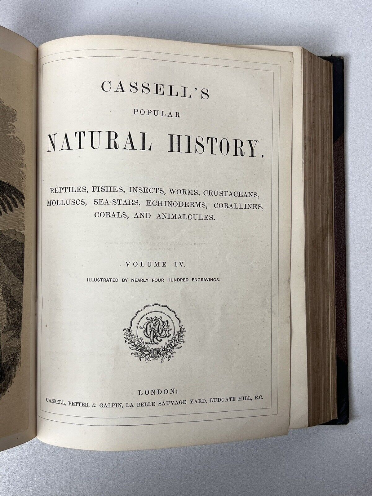 Cassell's Popular Natural History Illustrated with 1000+ Engravings