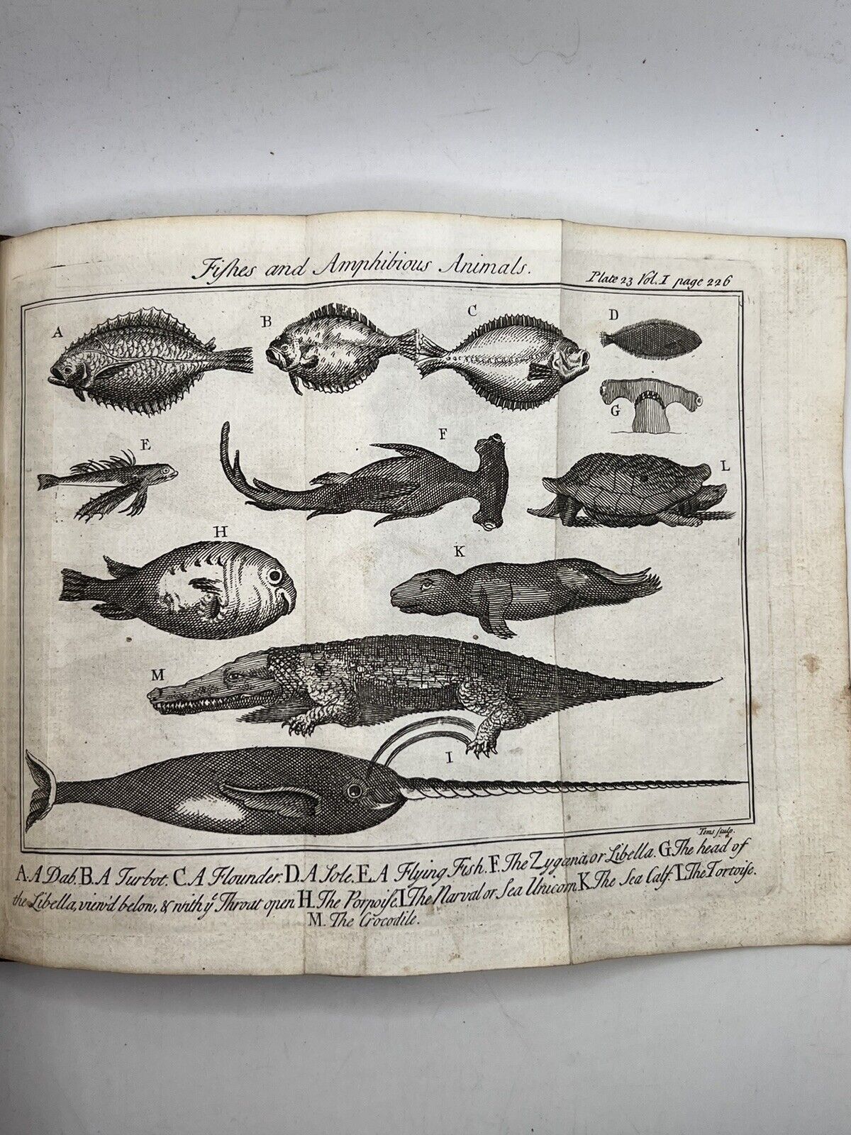 Discourses on Natural History 1739