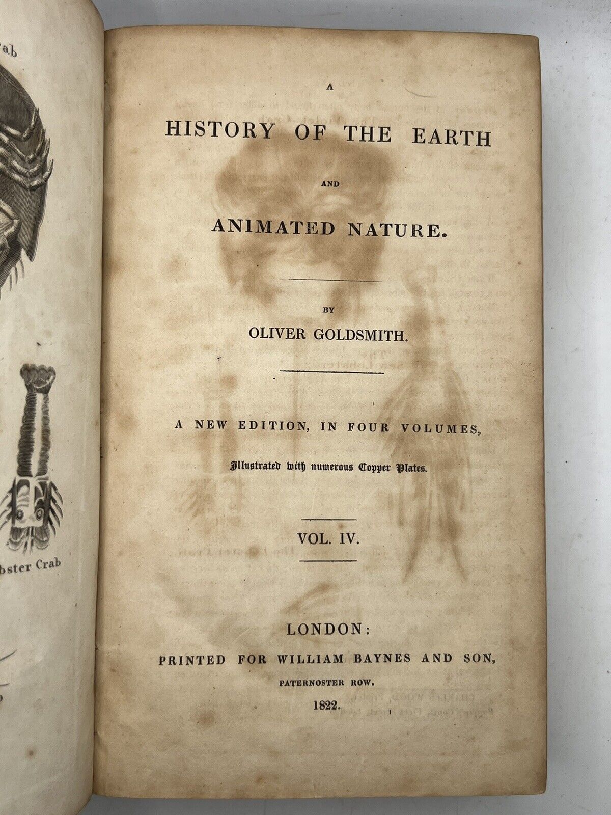 A History of the Earth and Animated Nature by Oliver Goldsmith 1822