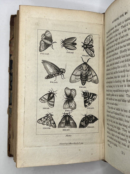 Buffon's Natural History of Birds, Fish, Insects & Reptiles 1792-3