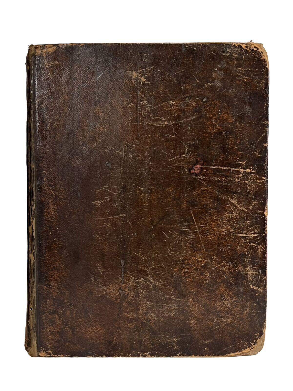 Geneva "Breeches" Bible 1599