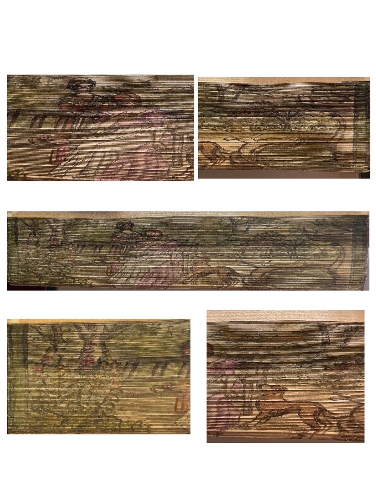 In Praise of Gardens Fore-Edge Painting