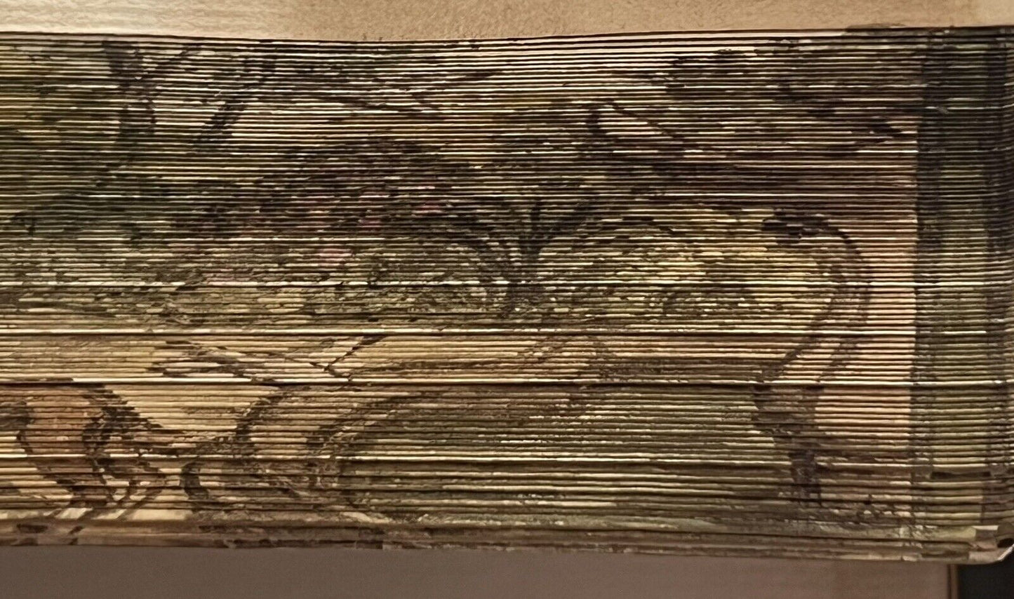 In Praise of Gardens Fore-Edge Painting