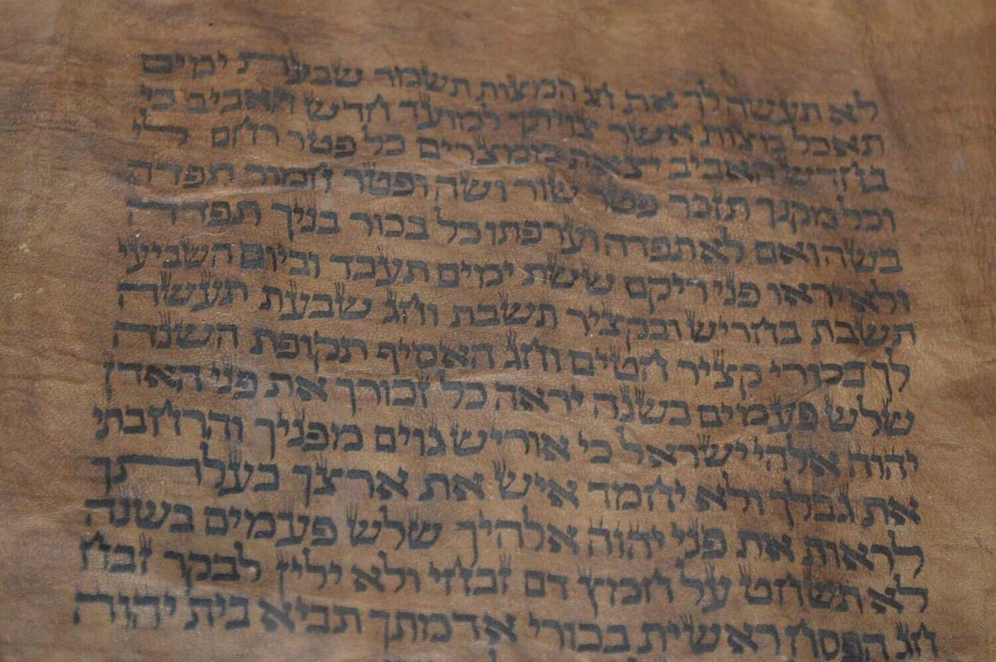 The Ten Commandments: A Large Torah Roll of Exodus on Goatskin c.1620