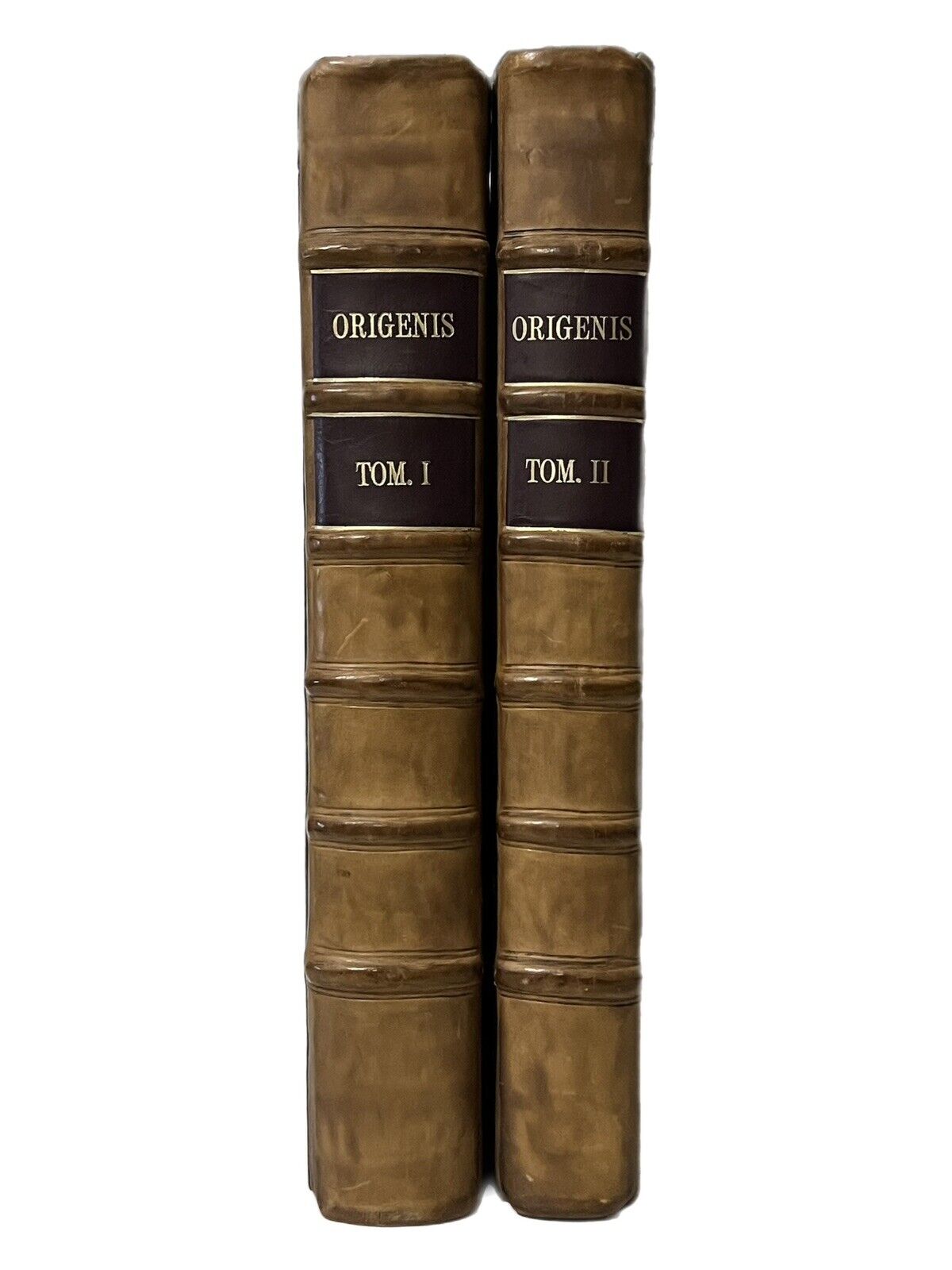 Origen's Biblical Commentaries 1668