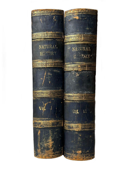 Cassell's Popular Natural History Illustrated with 1000+ Engravings