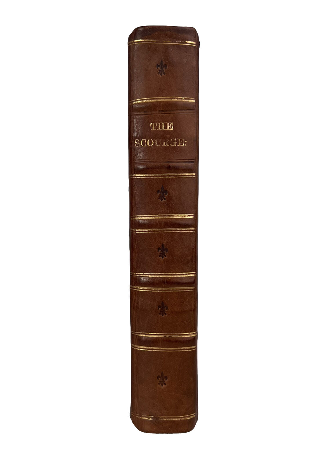 The Scourge: In Vindication of the Church of England by Thomas Lewis 1720