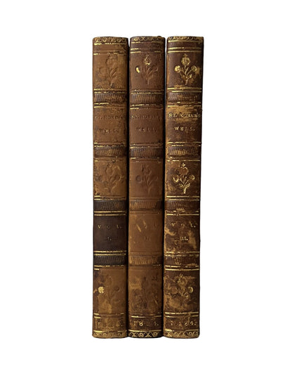 St Ronan's Well by Sir Walter Scott 1824 First Edition