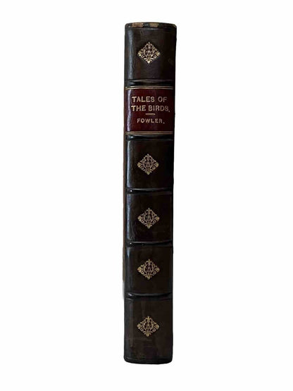 Tales of the Birds by W. Warde Fowler 1903