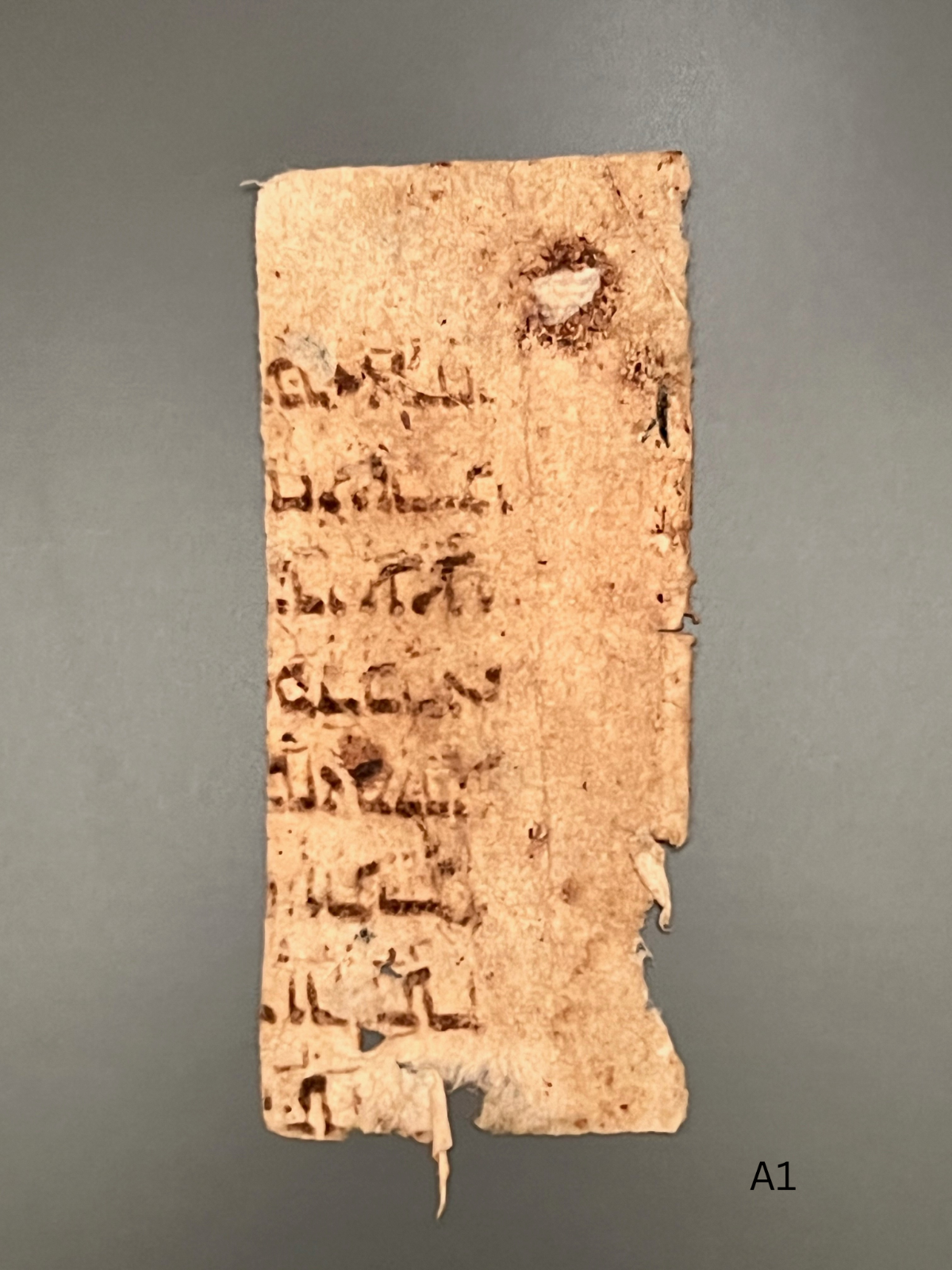 11th Century Biblical Hebrew Codex; Containing the Book of Exodus