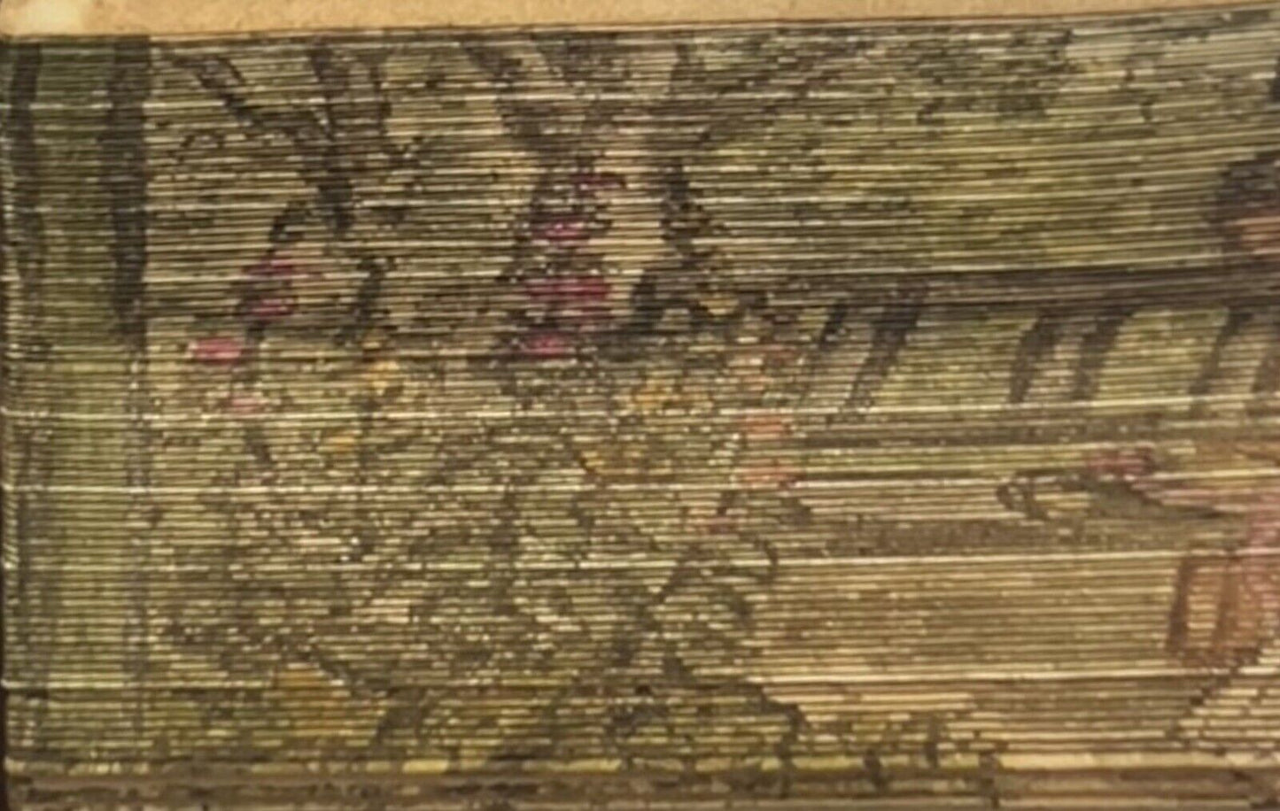 In Praise of Gardens Fore-Edge Painting