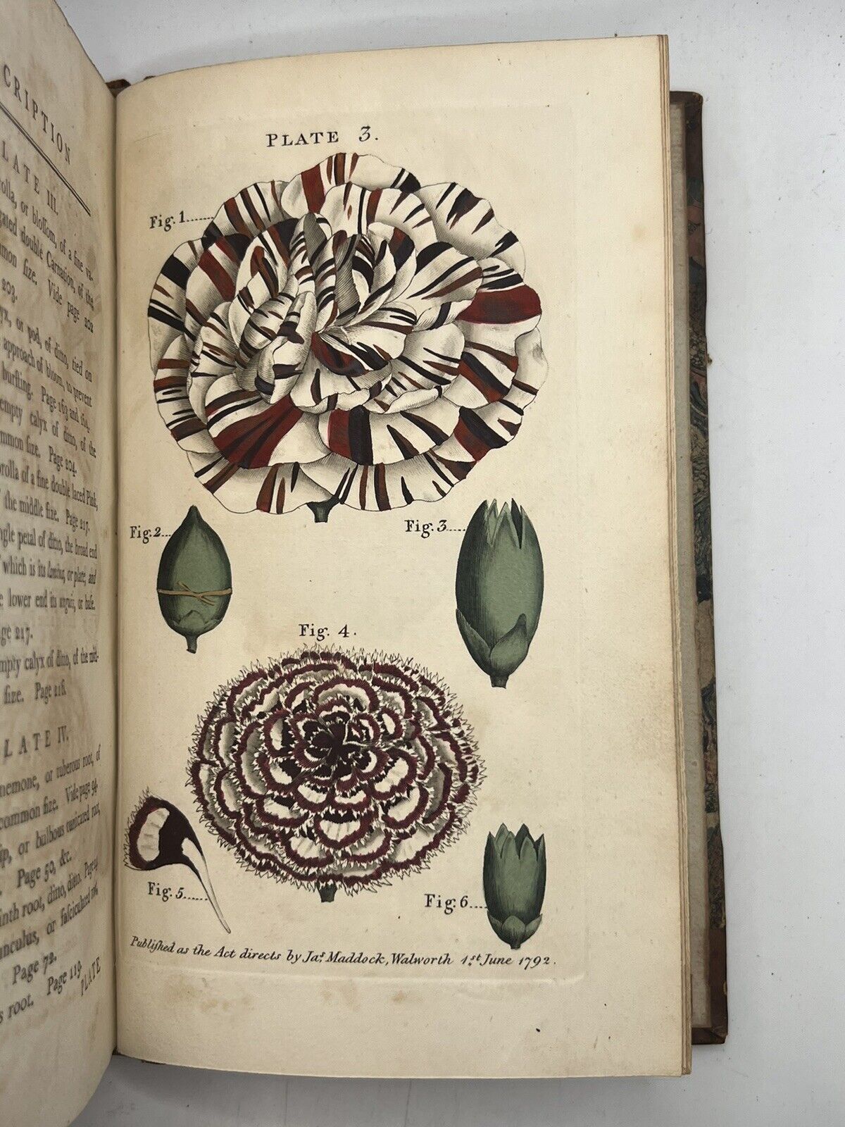 A Treatise on the Culture of Flowers 1792