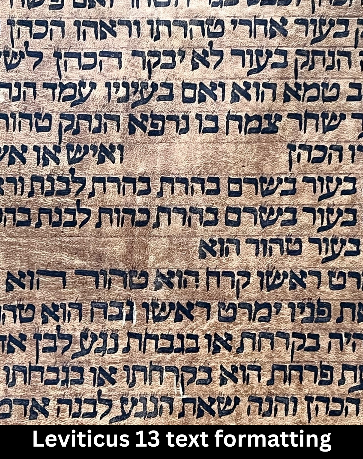 Complete 18th Century Torah Scroll: 5 Books of Moses