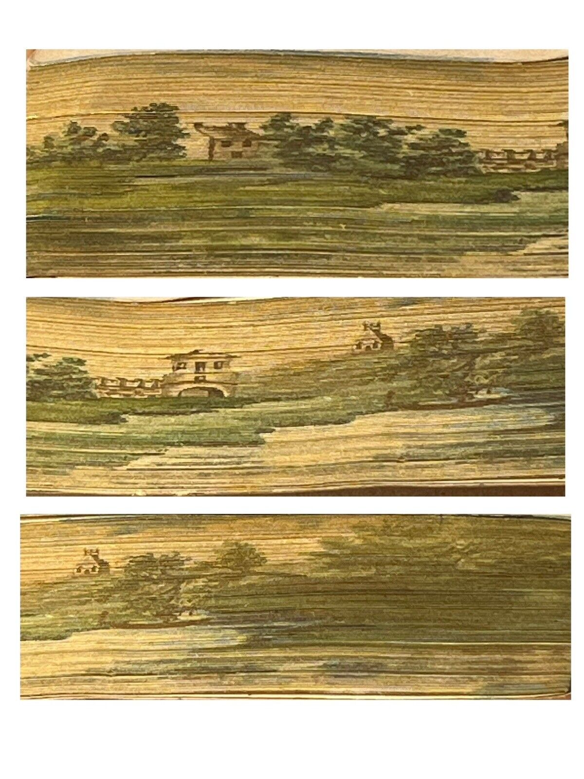 Paradise Lost by John Milton 1804 Fore-Edge Paintings