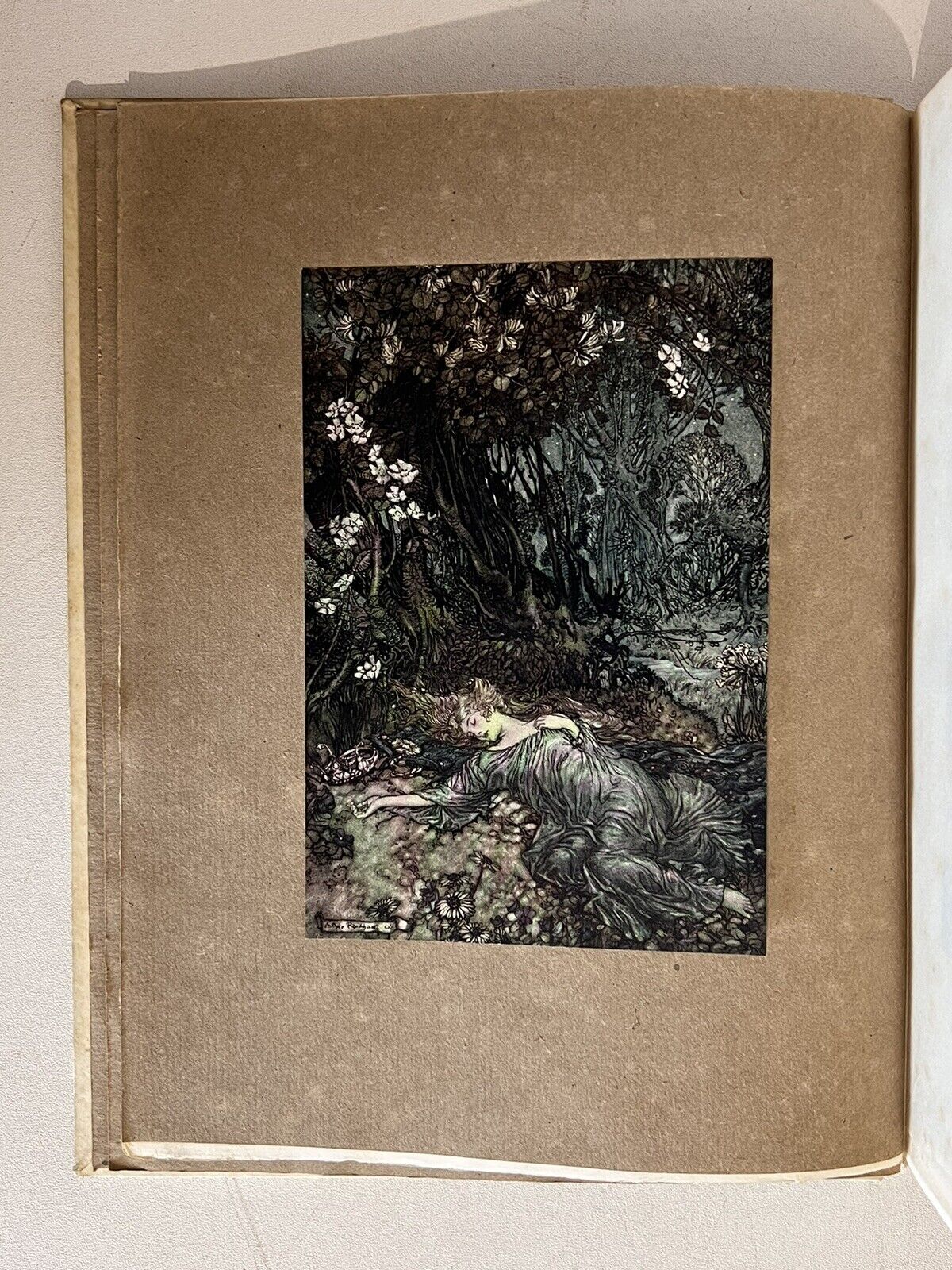 A Midsummer Night's Dream by William Shakespeare 1908 Arthur Rackham Signed