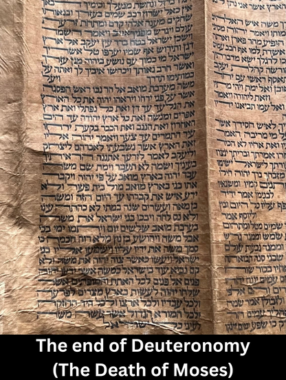 Complete 18th Century Torah Scroll: 5 Books of Moses