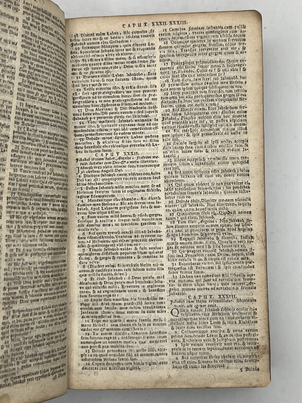 Biblia Sacra: The Bible 1656