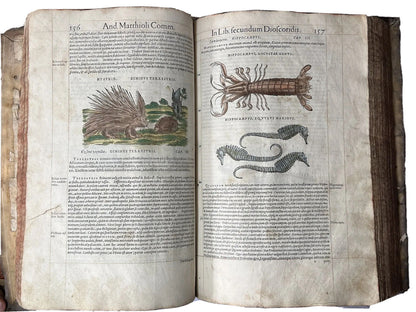 Senensis Commentarii by Pietro Andrea Mattioli 1554 Hand Coloured Herbal