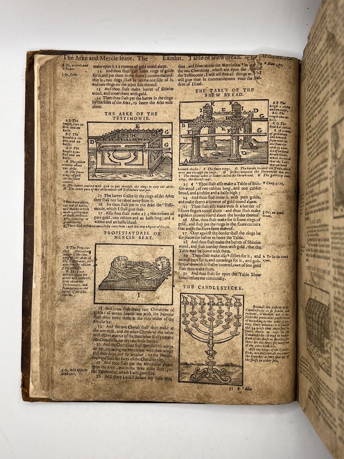 Geneva "Breeches" Bible 1599