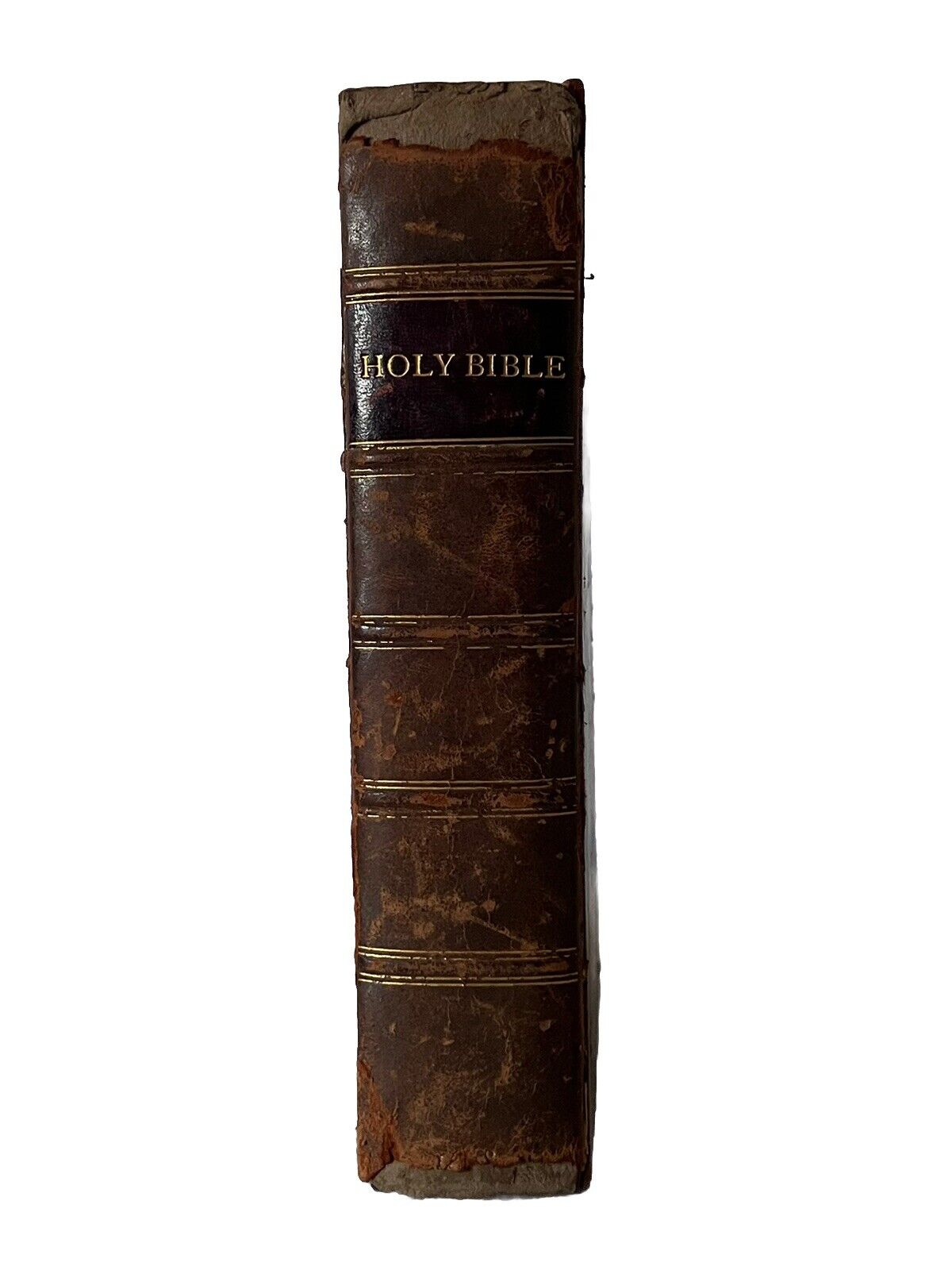 1609 Antique Bible GENEVA BIBLE "Breeches" King James