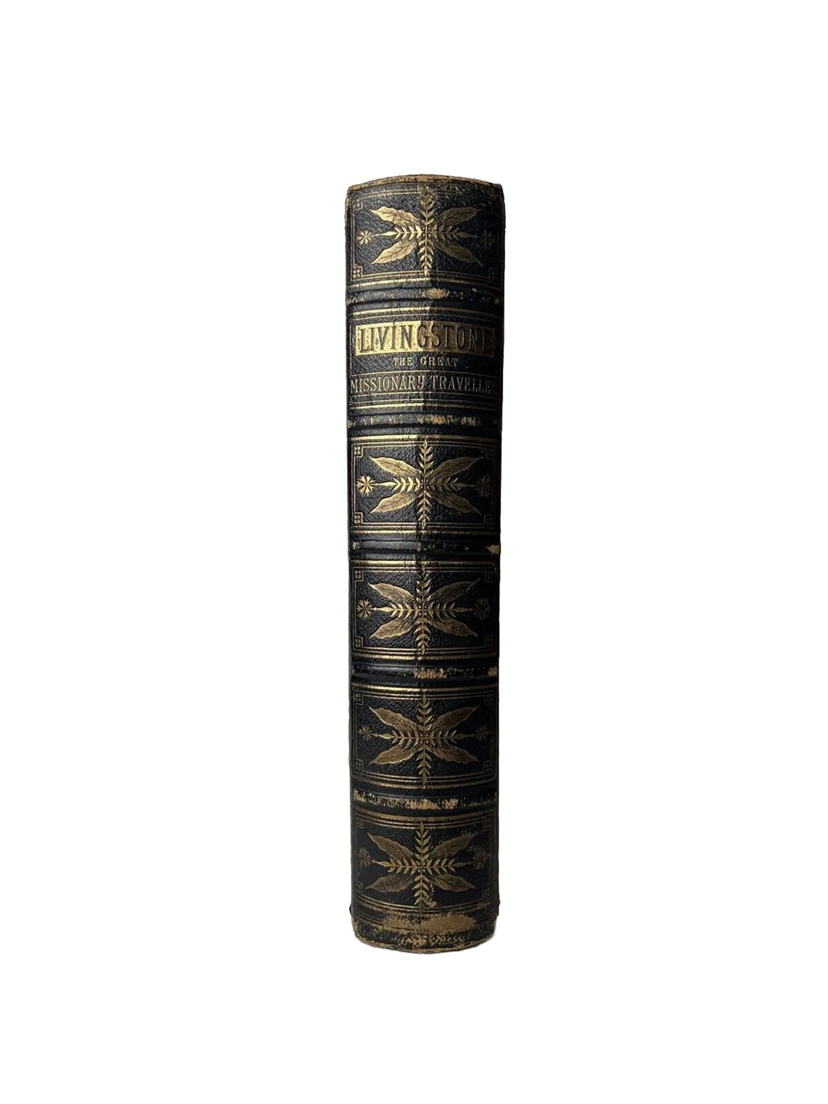 The Life and Explorations of Dr Livingstone 1878