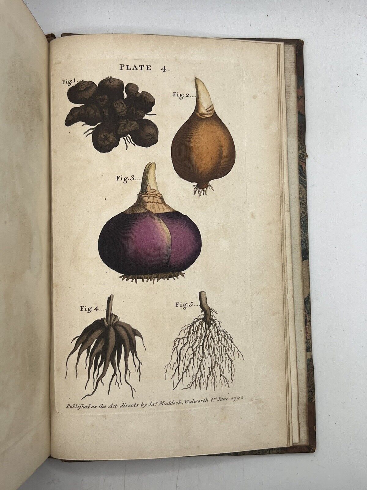 A Treatise on the Culture of Flowers 1792