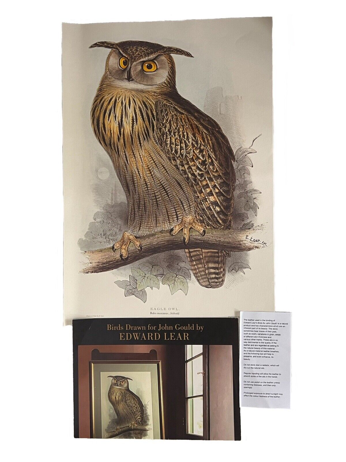 John Gould Illustration of Birds - Folio Society Limited Edition Signed