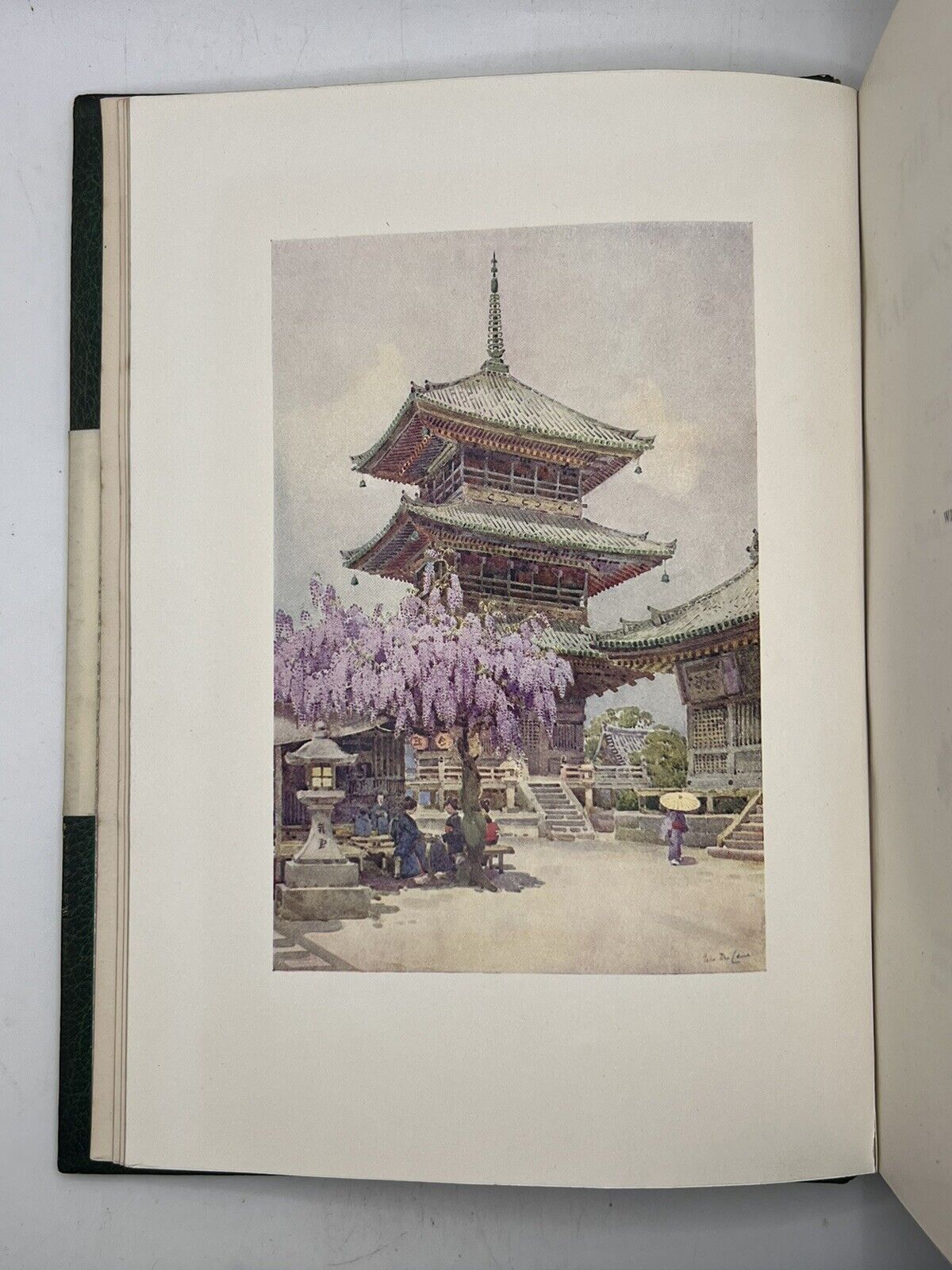 The Flowers and Gardens of Japan 1908