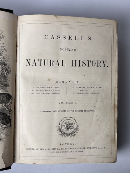 Cassell's Popular Natural History Illustrated with 1000+ Engravings