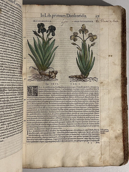 Pietro Andrea Mattioli Herbal 1554 Hand Coloured Woodcuts