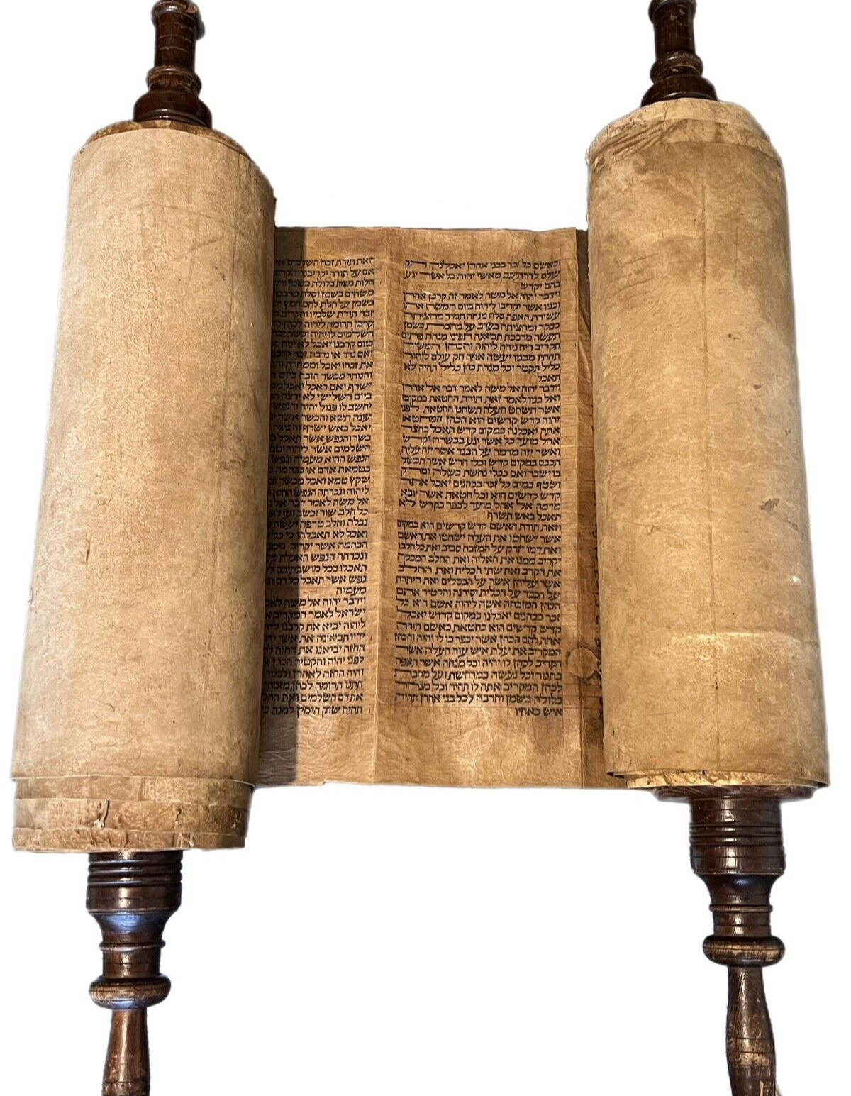 Complete 18th Century Torah Scroll: 5 Books of Moses