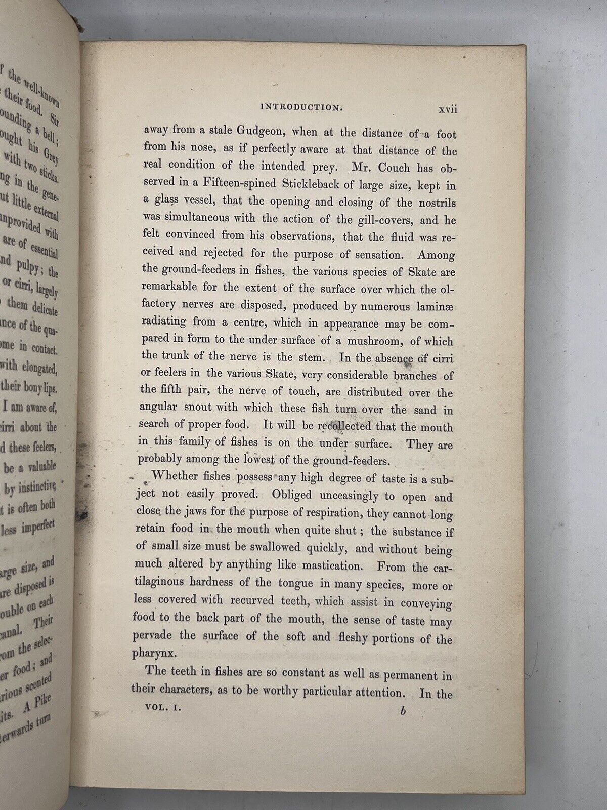 A History of British Fishes by William Yarrell 1836 First Edition