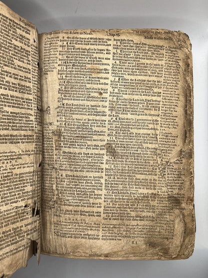 Geneva "Breeches" Bible 1611