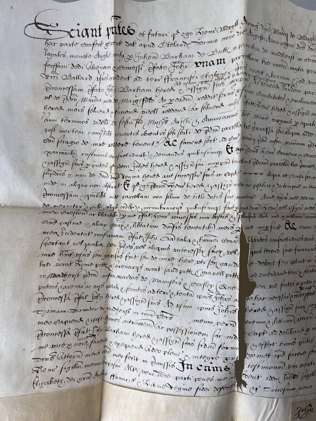 William Shakespeare Associated Vellum Document Dated 1599 Elizabethan