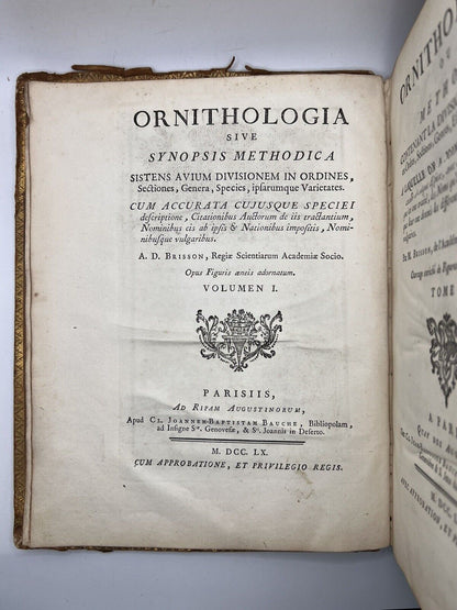 Ornithologia by Brisson 1760