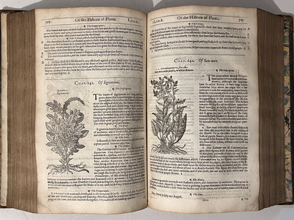 John Gerard's Herbal 1636