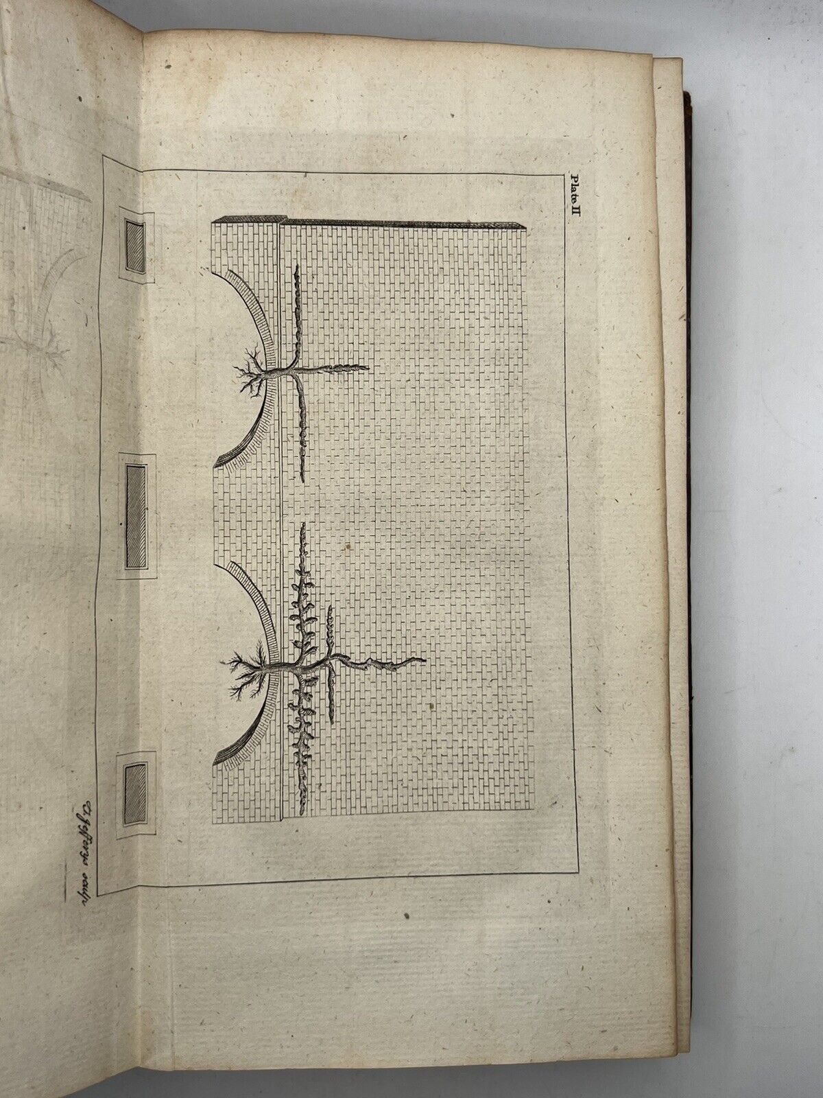 A Treatise of Fruit-Trees by Thomas Hitt 1768