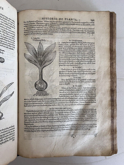 The History of Plants by John Gerard 1597 First Edition