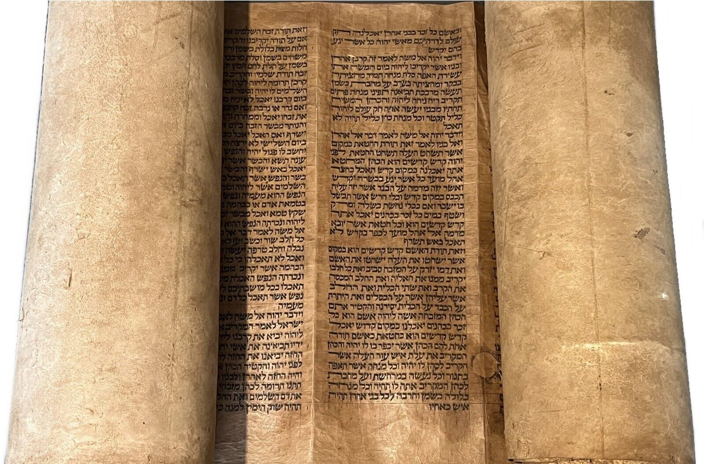 Complete 18th Century Torah Scroll: 5 Books of Moses