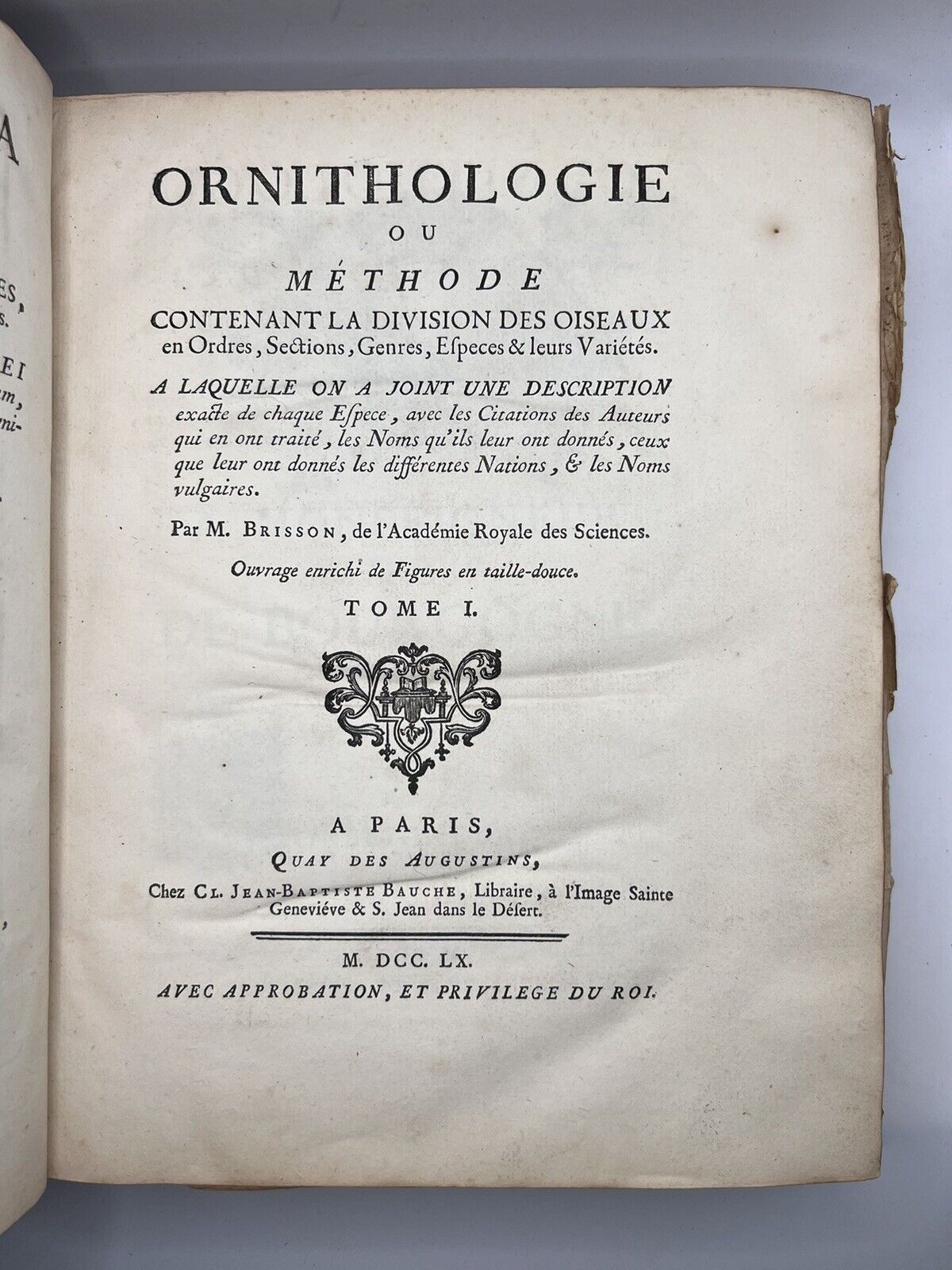 Ornithologia by Brisson 1760