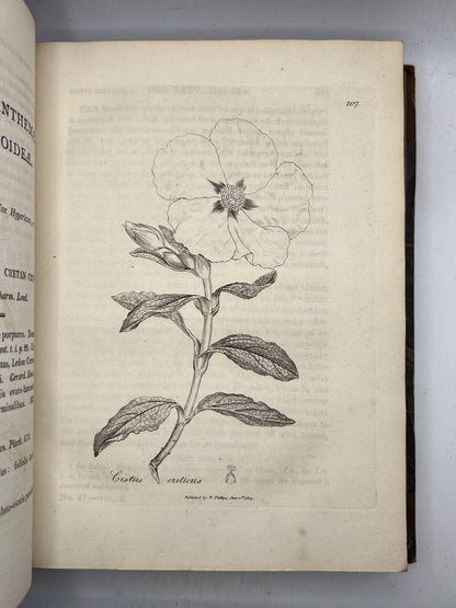 Woodville's Medical Botany 1810